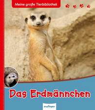 Das Erdmännchen