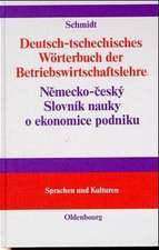 Deutsch-tschechisches Wörterbuch der Betriebswirtschaftslehre: Nemecko-ceský Slovník nauky o ekonomice podniku