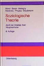 Soziologische Theorie: Abriß der Ansätze ihrer Hauptvertreter