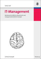 IT-Management: Betriebswirtschaftliche, ökonomische und managementorientierte Konzepte