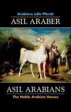 Asil Arabians: The Noble Arabian Horses VI