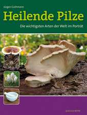 Heilende Pilze