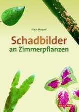 Schadbilder an Zimmerpflanzen