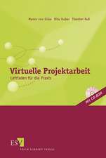 Virtuelle Projektarbeit