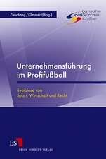 Unternehmensführung im Profifußball