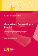 Operatives Controlling - Band 1