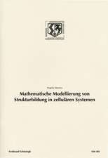 Mathematische Modellierung von Strukturbildung in zellurären Systemen