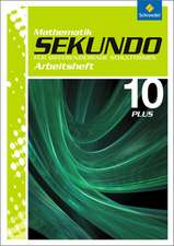 Sekundo: Mathematik 10. Arbeitsheft 10 Plus. Differenzierende Schulformen