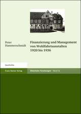 Finanzierung und Management von Wohlfahrtsanstalten 1920 bis 1936