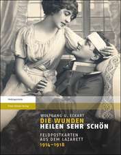 Die Wunden Heilen Sehr Schon: Feldpostkarten Aus Dem Lazarett 1914 1918