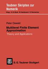 Multilevel Finite Element Approximation: Theory and Applications