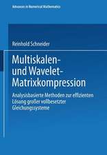 Multiskalen- und Wavelet-Matrixkompression: Analysisbasierte Methoden zur effizienten Lösung großer vollbesetzter Gleichungssysteme