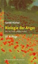 Biologie Der Angst: Wie Aus Stress Gefuhle Werden