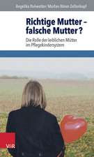 Richtige Mutter - Falsche Mutter?: Die Rolle Der Leiblichen Mutter Im Pflegekindersystem