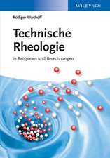 Technische Rheologie – in Beispielen und Berechnungen