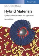 Hybrid Materials – Synthesis, Characterization and Applications 2e