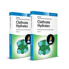 Clathrate Hydrates – Molecular Science and Characterization