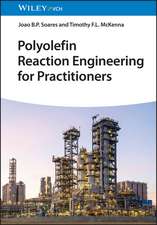 Polyolefin Reaction Engineering for Practitioners