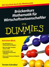 Brückenkurs Mathematik für Wirtschaftswissenschaftler für Dummies