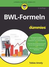 BWL–Formeln für Dummies 3e