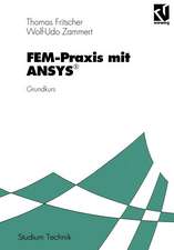 FEM-Praxis mit ANSYS®: Grundkurs