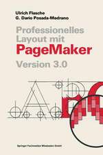 Professionelles Layout mit PageMaker: Version 3. 0