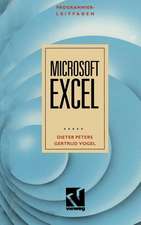 Programmierleitfaden Microsoft EXCEL: Version 2.10