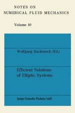 Efficient Solutions of Elliptic Systems: Proceedings of a GAMM-Seminar Kiel, January 27 to 29, 1984