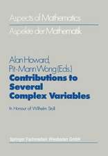 Contributions to Several Complex Variables