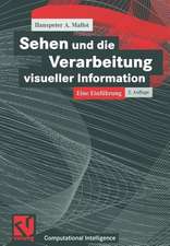 Sehen und die Verarbeitung visueller Information: Eine Einführung