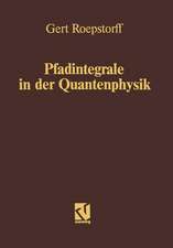 Pfadintegrale in der Quantenphysik