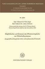 Möglichkeit und Grenzen des Effizienzvergleichs von Wirtschaftssystemen: — dargestellt am Beispiel der mittel- und westdeutschen Wirtschaft —