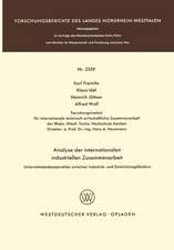 Analyse der internationalen industriellen Zusammenarbeit: Unternehmenskooperation zwischen Industrie- und Entwicklungsländern