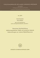 Resonante Wechselwirkung elektromagnetischer Wellen mit ionisierter Materie: Untersuchungen zur unteren Hybrid-Resonanz