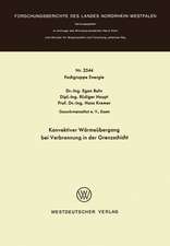 Konvektiver Wärmeübergang bei Verbrennung in der Grenzschicht