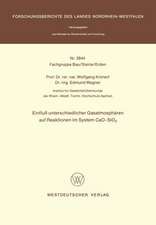 Einfluß unterschiedlicher Gasatmosphären auf Reaktionen im System CaO-SiO2
