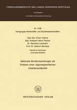 Sektorale Strukturwandlungen als Problem einer regionsspezifischen Arbeitsmarktpolitik