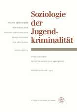 Soziologie der Jugendkriminalität