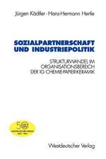 Sozialpartnerschaft und Industriepolitik: Strukturwandel im Organisationsbereich der IG Chemie-Papier-Keramik