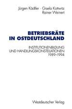 Betriebsräte in Ostdeutschland: Institutionenbildung und Handlungskonstellationen 1989–1994