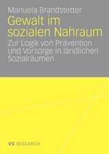 Gewalt im sozialen Nahraum: Die Logik von Prävention in ländlichen Sozialräumen