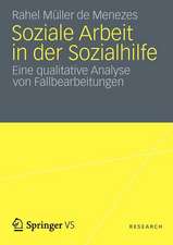 Soziale Arbeit in der Sozialhilfe: Eine qualitative Analyse von Fallbearbeitungen