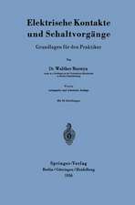 Elektrische Kontakte und Schaltvorgänge: Grundlagen für den Praktiker