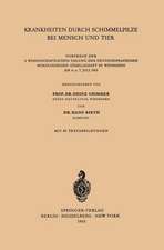 Krankheiten durch Schimmelpilze bei Mensch und Tier: Vorträge der 3. Wissenschaftlichen Tagung der Deutschsprachigen Mykologischen Gesellschaft in Wiesbaden am 6. u. 7. Juli 1963