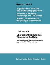 Über die Entwicklung des Dünndarms der Ratte: Morphologische, histochemische und experimentelle Untersuchungen