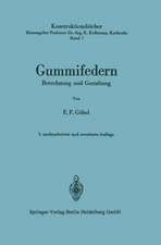 Gummifedern: Berechnung und Gestaltung