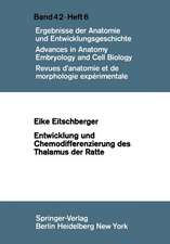 Entwicklung und Chemodifferenzierung des Thalamus der Ratte