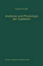 Anatomie und Physiologie der Capillaren