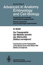 Zur Topographie der Medulla spinalis der Albinoratte (rattus norvegicus) / Contributions to the Topography of the Spinal Cord of the Albino Rat (Rattus norvegicus)