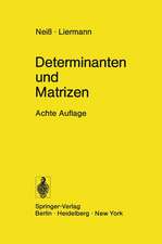 Determinanten und Matrizen: Lineare Algebra